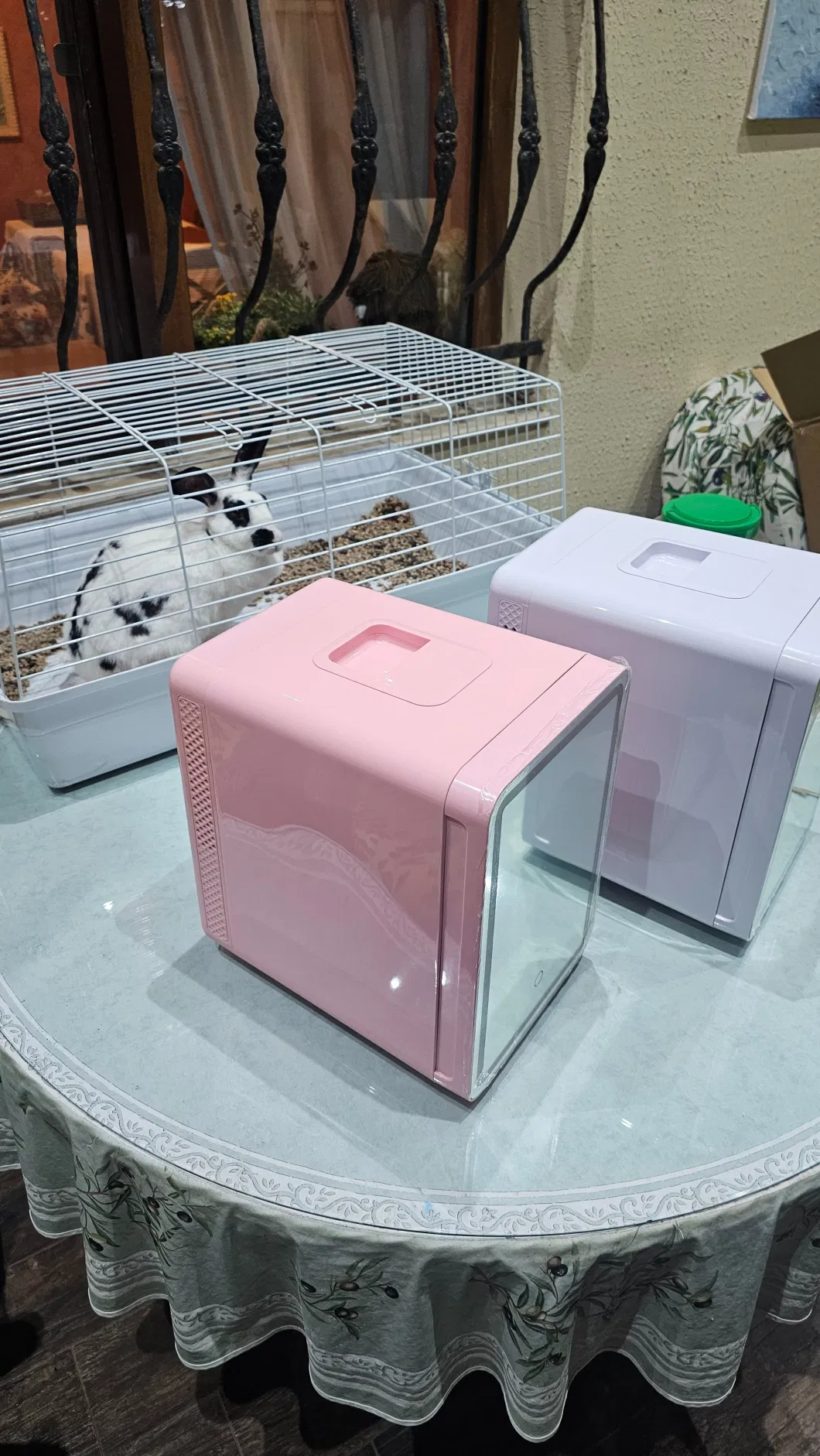 Mini Fridge for Bedroom Desk Portable Cooler Warmer Food Small Fridge AC DC 12V Makeup Cosmetics Home Refrigerator &amp; Freezer