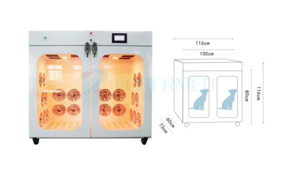 Medical Automatic Pet Dry Room Professional Constant Temperature Nature Wind Smart Pet Dryer Box