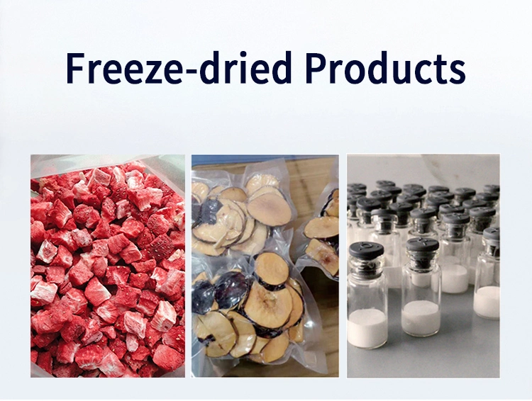 CE Proved Freeze Dried Food Vacuum Lyophilizer Price Fruit Mini Vegetable Home Freeze Drying Machine Freeze Dryer