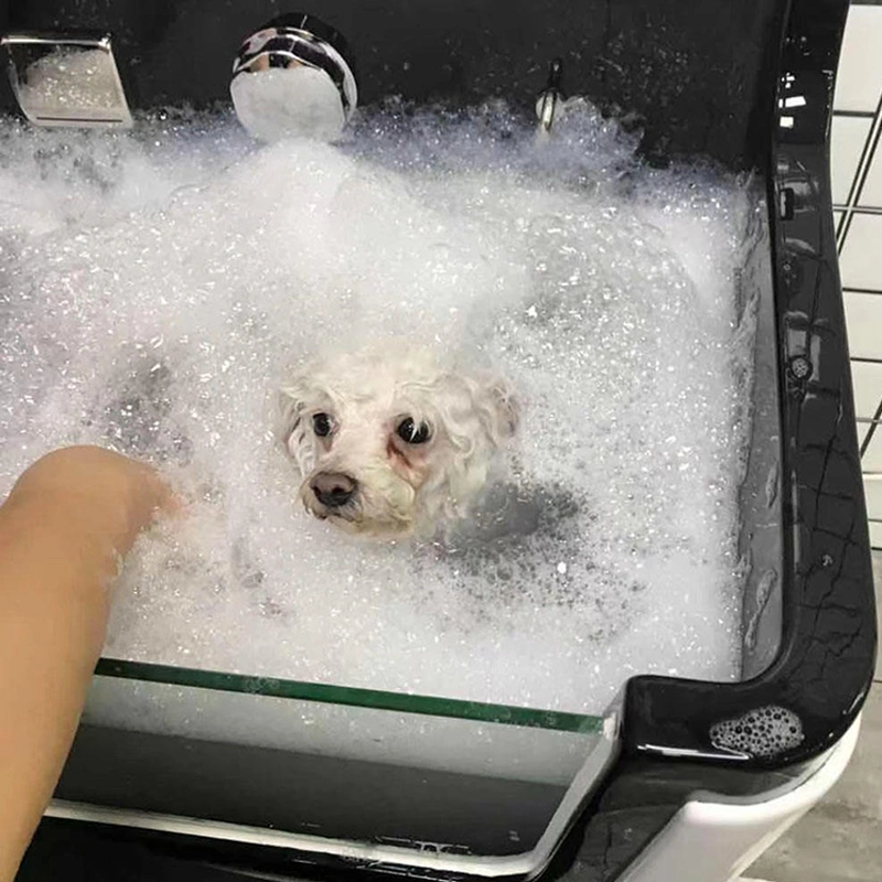 Icen New Design High Quality Professional Pet Dog Wash Machine Cat Grooming Tub SPA Massage Bath Tub