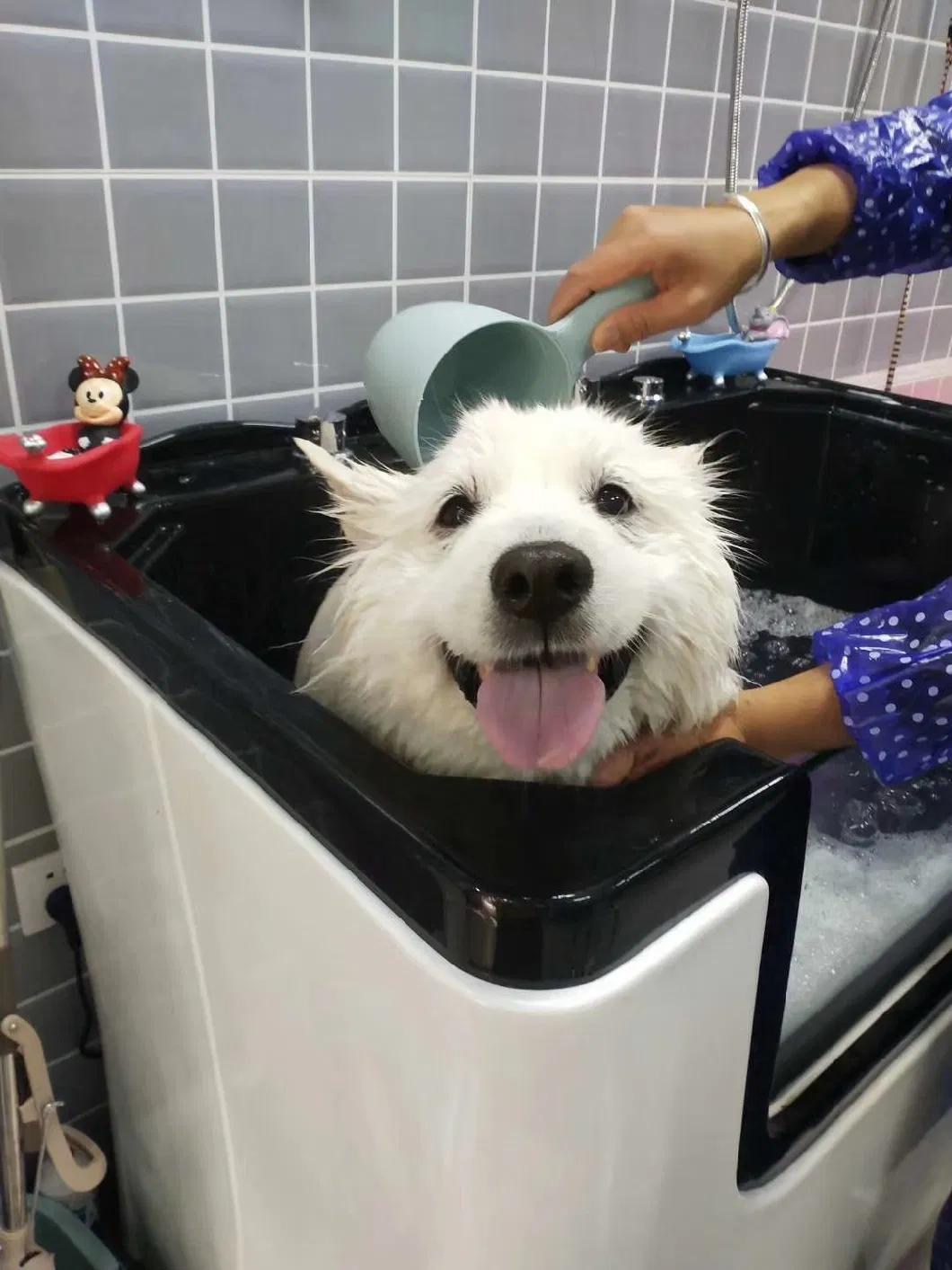 Pet Grooming Washing Dog Grooming Bath Tub Portable Pet Bathtub Pet Bathtub with Faucet