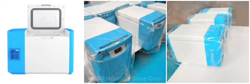 Car Use Ultra Low Temperature Deep Cold Cryogenic Medical Freezer