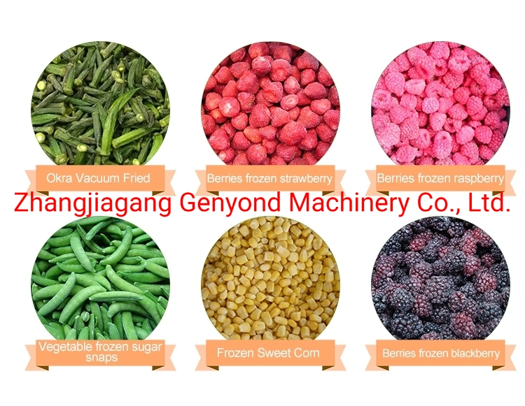 Factory Small Fruit &amp; Vegetable Medicine Pharmaceutical Vacuum Lyophilizer Freeze Drying Equipment Machine Dryer