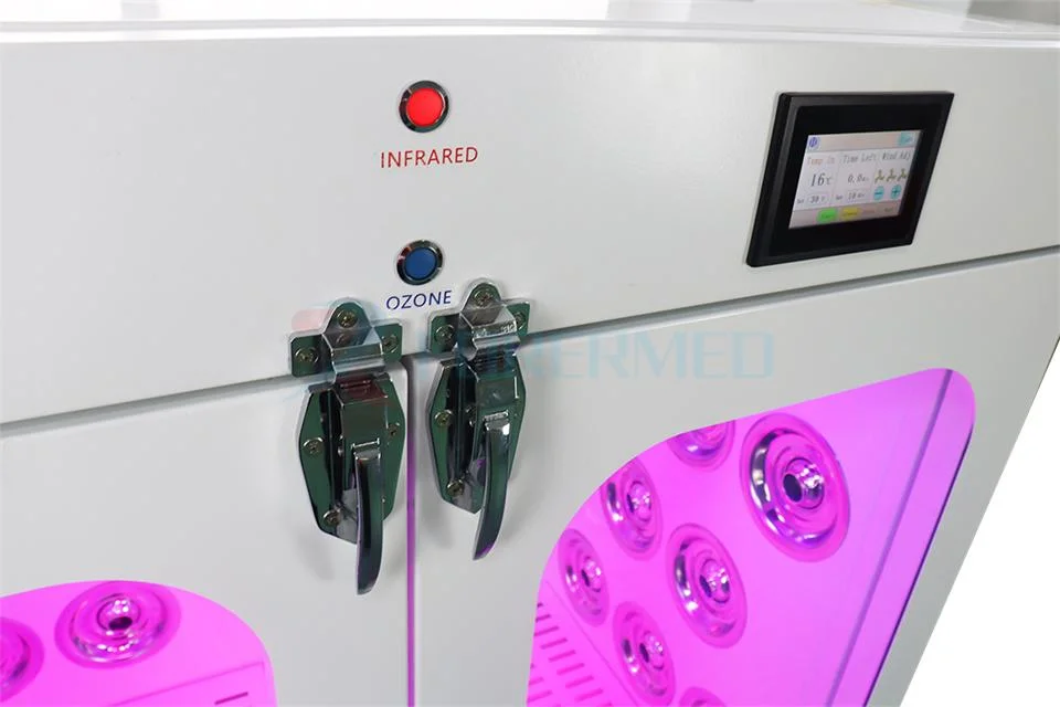 Medical Automatic Pet Dry Room Professional Constant Temperature Nature Wind Smart Pet Dryer Box