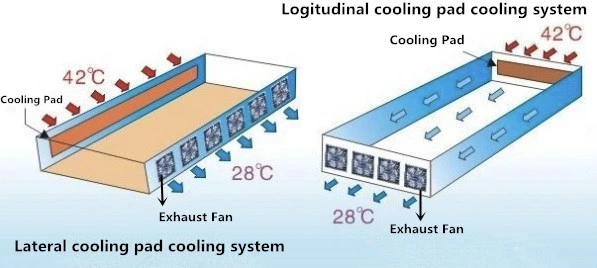 50 Inch Industrial Exhaust Fan for Wall Mounting