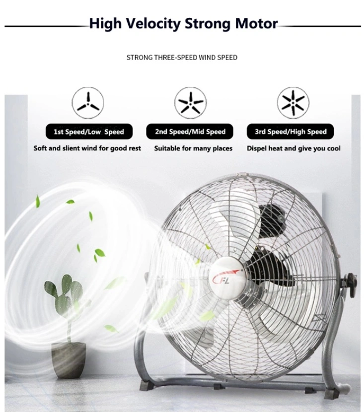 Powerpac 12 Inch &quot;Power Fan&quot; &amp; High Velocity Fan Air Circulator