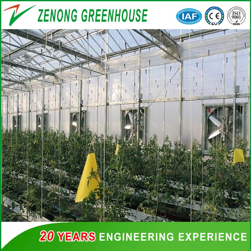 Intelligent Greenhouse Automatic Temperature Control Cooling System Exhaust Fan
