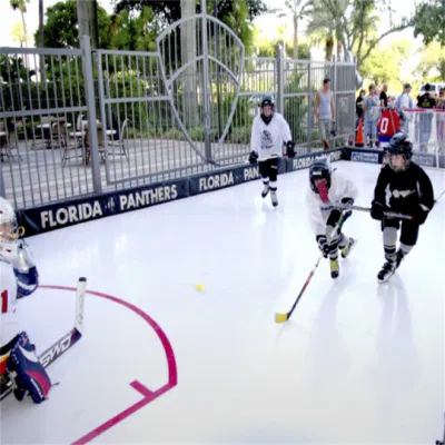 Complete Set Synthetic Ice Hockey Shooting Rink Skating Plastic Hockey Board