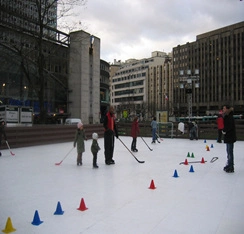 Plastic Ice Rink Skating Floor Tiles Synthetic Ice Reviews