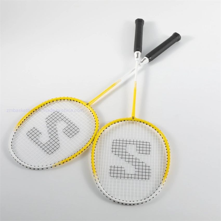 Professional Badminton Racket and Net Set