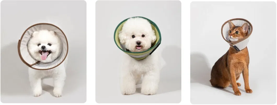 Waterproof 3D Sponge Soft Pet Cat Dog Elizabethan Collar for Protecting Cat After Surgery