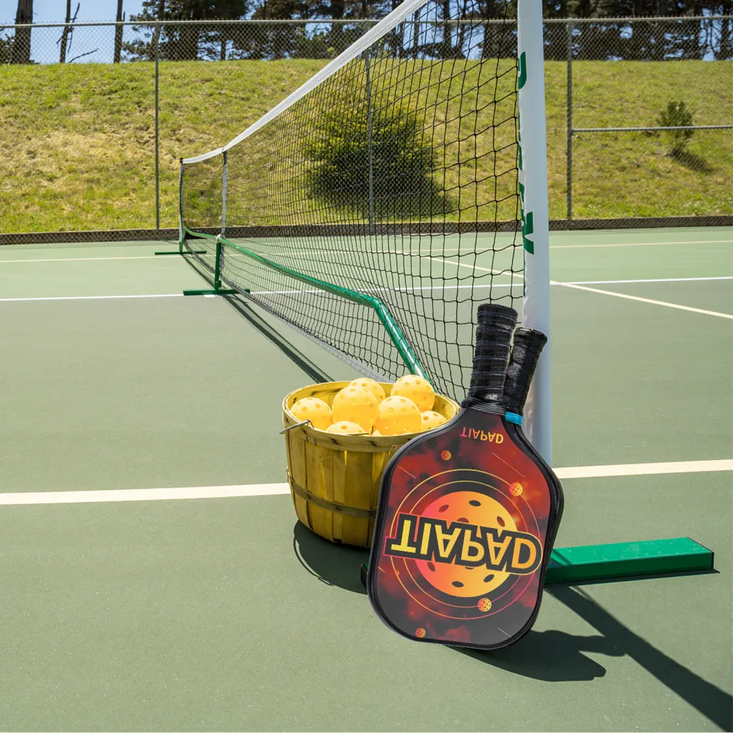 Usapa Approved Customised Pickleball Paddles Professional High Quality Indoor Outdoor Pickleball Ball