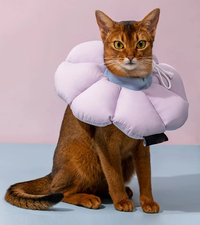 Waterproof 3D Sponge Soft Pet Cat Dog Elizabethan Collar for Protecting Cat After Surgery
