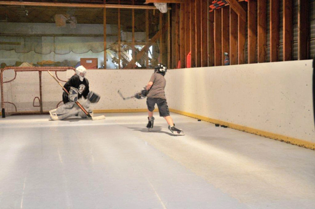Hockey Synthetic Skate Floor Tiles for Ice Rink Floor/Tiles Home Backyard