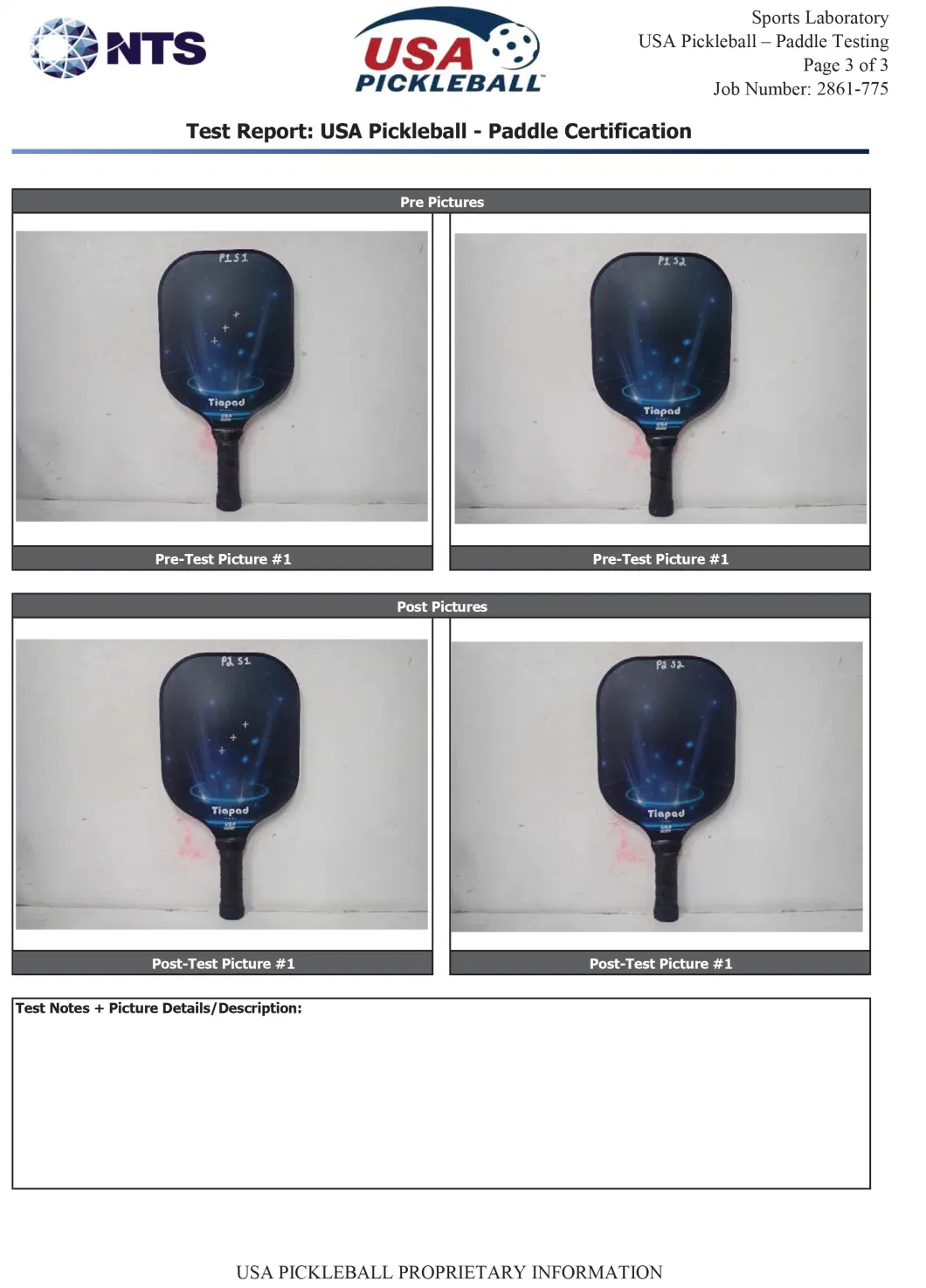Custom Printing Poplar Outdoor Sport 4 Balls Pickleball Paddle Set