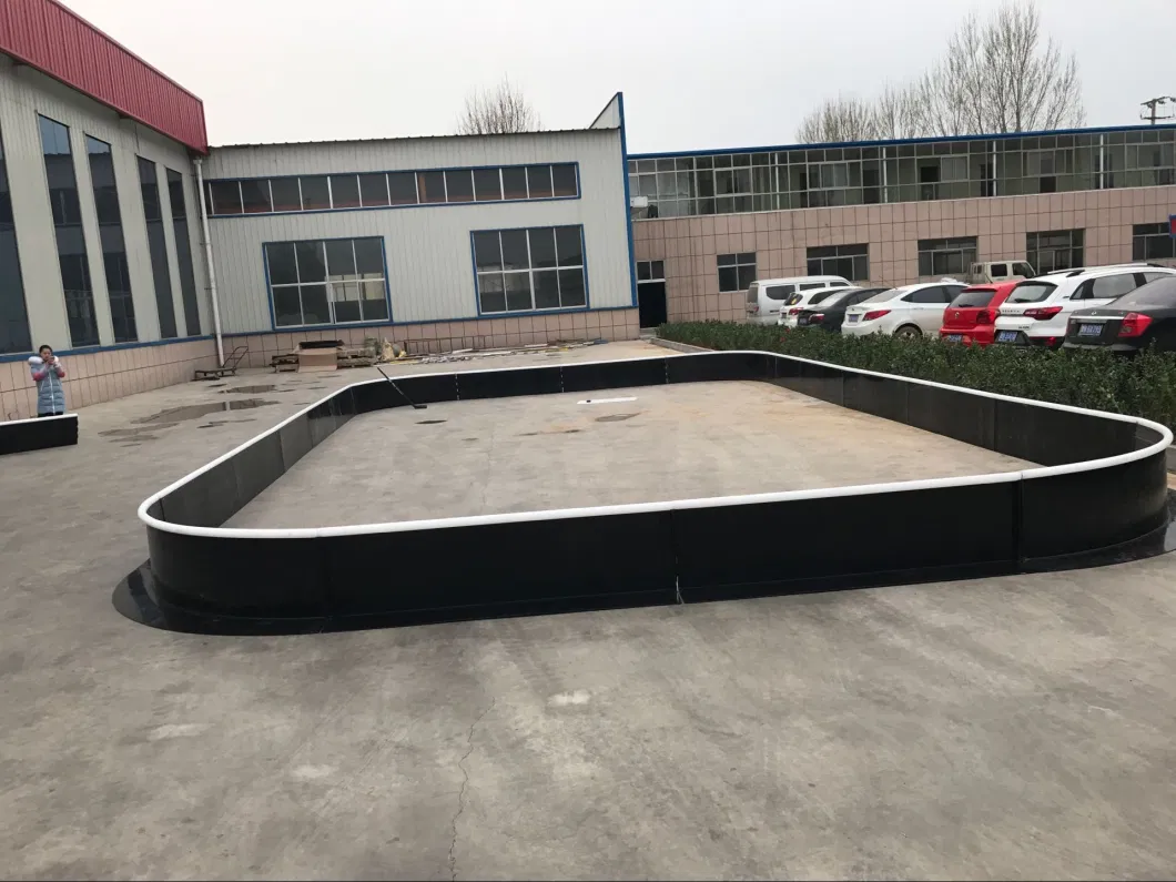 Easy Install UHMWPE Synthetic Ice Hockey Rink Interlocking Fence for Ice Skating