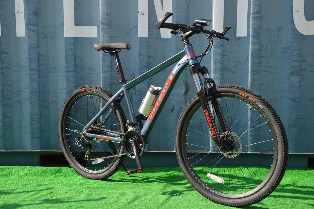 New Model Mountain Bicycle MTB-146