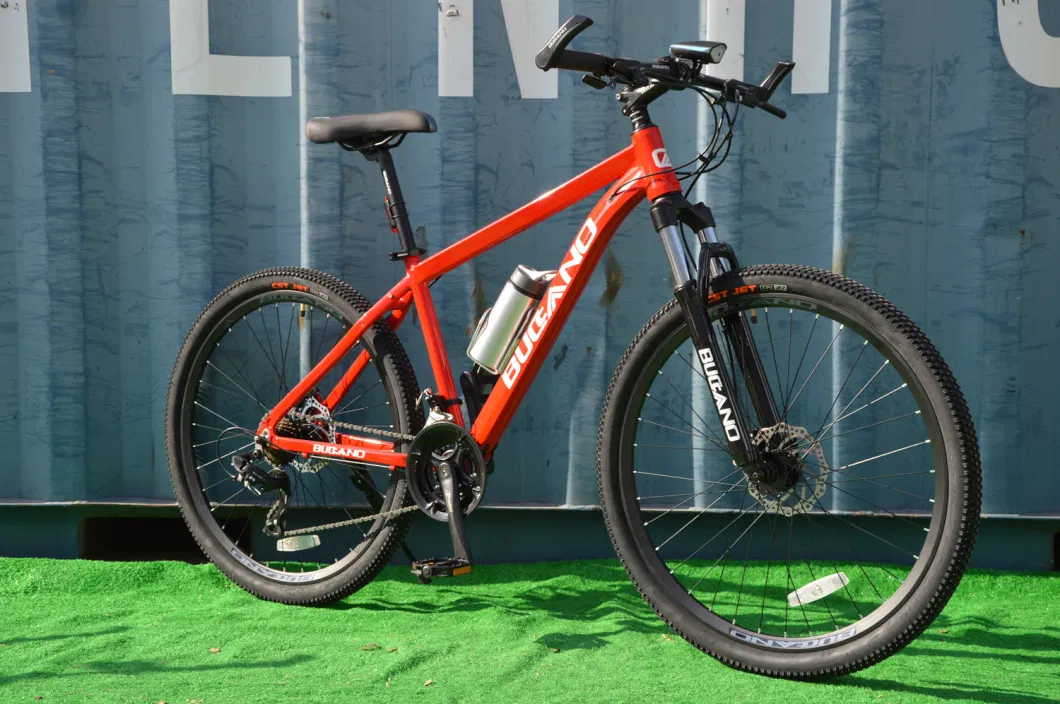 New Model Mountain Bicycle MTB-146