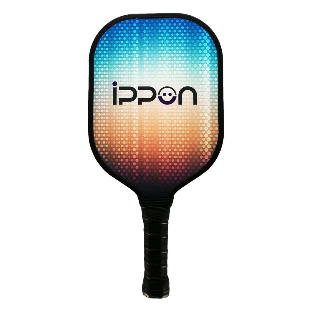 Customized Logo Graphite or Glass Fiber Usapa Approved Pickleball Paddle 4 Pickleballs with Carrying Bag