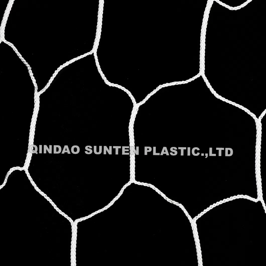 Nylon/Polyester/PE/Polyethylene/PP/Plastic/Sport/Badminton/Basketball/Tennis/Football/Soccer/Baseball/Volleyball Net