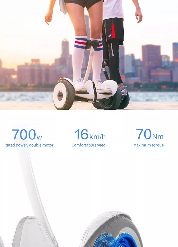 Self Balance Electric Easy Learning Handle Two Wheel Scooter Electric Hoverboard