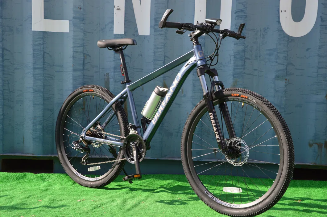 New Model Mountain Bicycle MTB-146