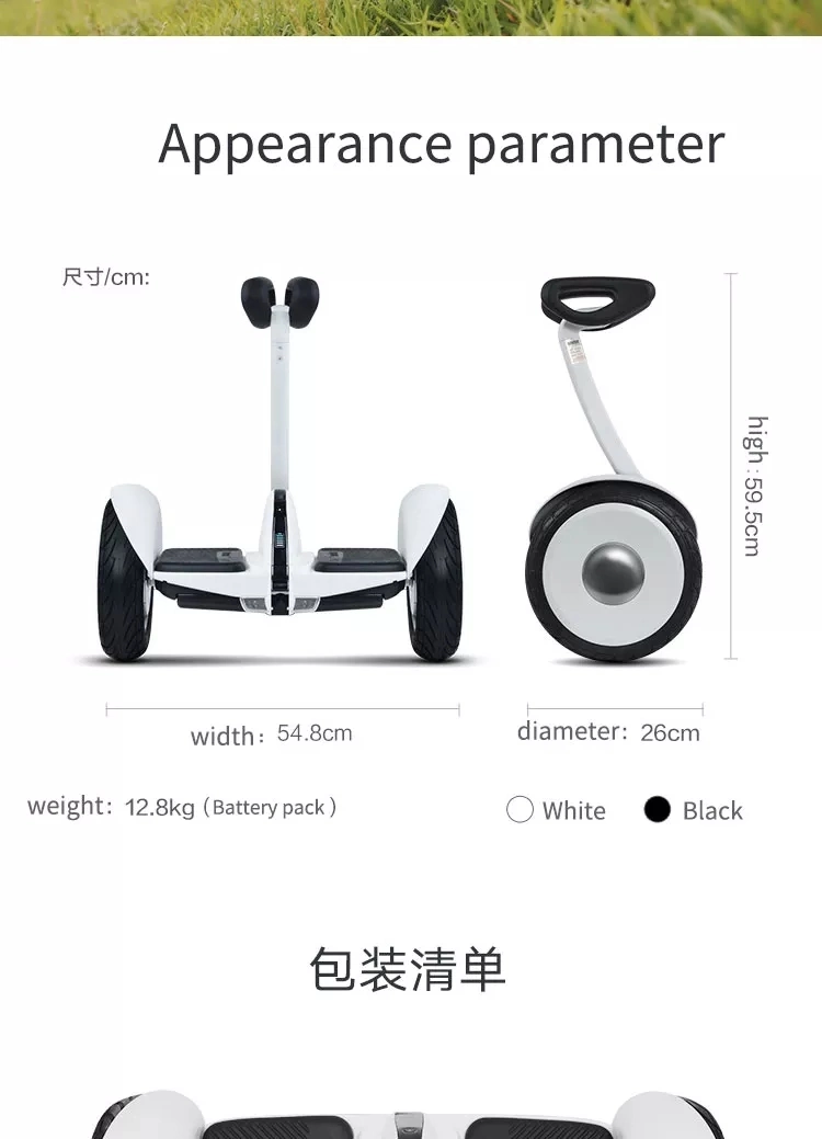 Self Balance Electric Easy Learning Handle Two Wheel Scooter Electric Hoverboard