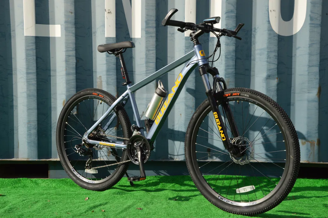 New Model Mountain Bicycle MTB-146