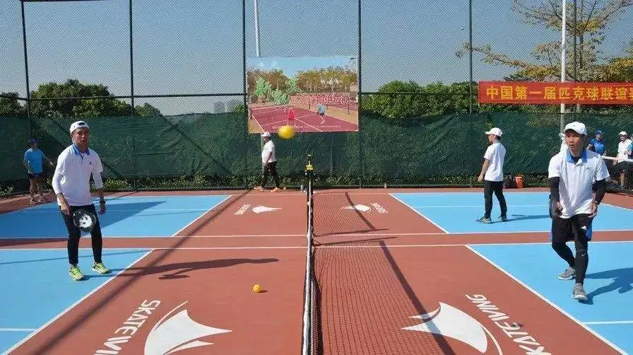 Most Popular Pickle Ball Game Custom 40 Hole Outdoor Activity for Training