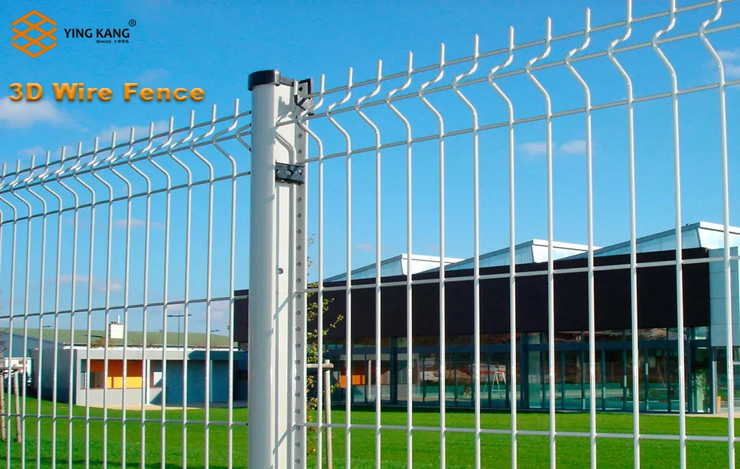 Factory Supplier Galvanized Curve Wire Mesh Fence/ 3D Panel Fencing /Garden Fence