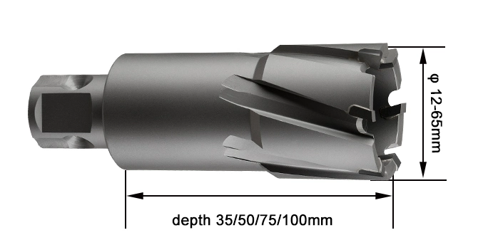 Universal Shank Carbide Tipped Annular Cutter for Drilling Holes