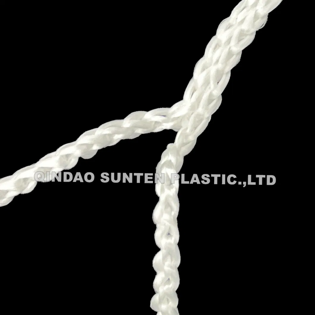 Nylon/Polyester/PE/Polyethylene/PP/Plastic/Sport/Badminton/Basketball/Tennis/Football/Soccer/Baseball/Volleyball Net