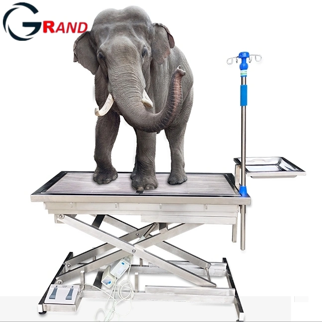 Veterinary Instrument Animal Equipment Vet Electric Stainless Steel Delivery Bed Surgery Operating/Operation Examination Table