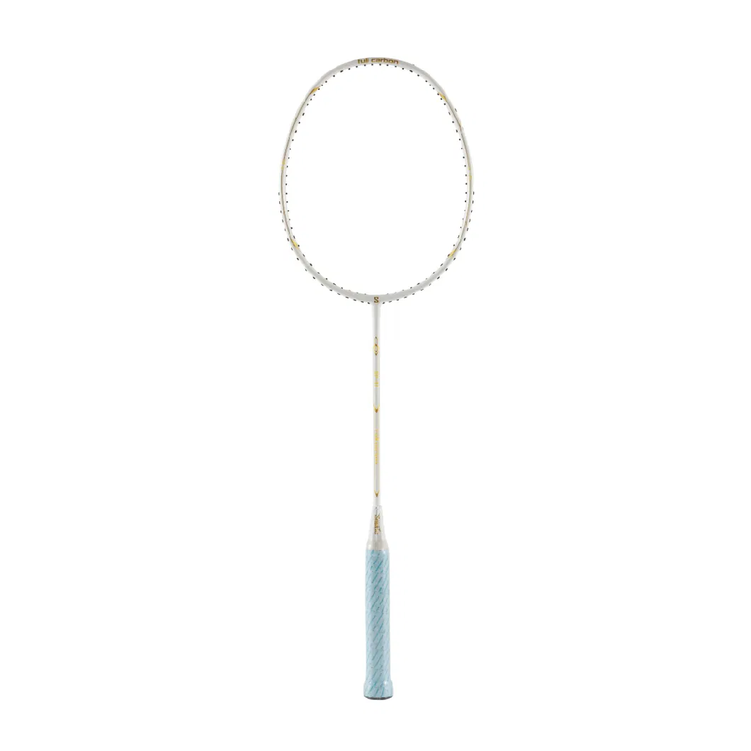 Top Brands Cheap Carbon Badminton Racket for Outdoor and Indoor Activity