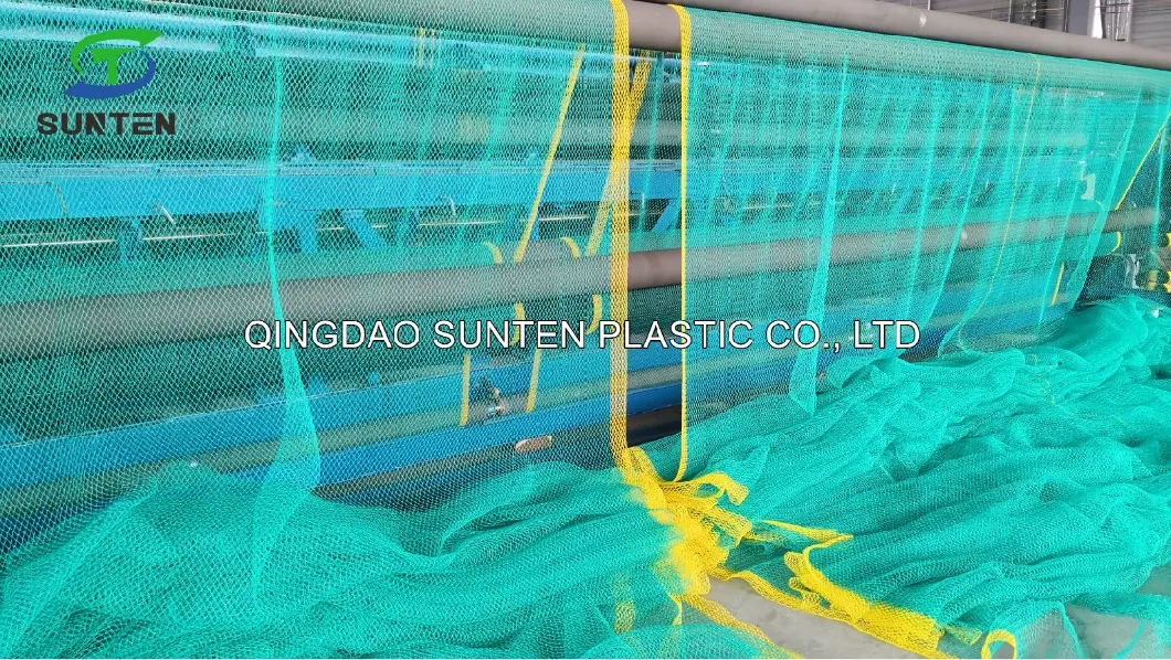 Nylon/Polyester/PE/Polyethylene/PP/Plastic/Sport/Badminton/Basketball/Tennis/Football/Soccer/Baseball/Volleyball Net