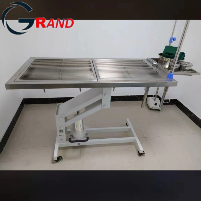 Economical Veterinary Instrument Animal Equipment Mechanical Hydraulic Veterinary Delivery Bed Surgery Operating/Operation Examination Table