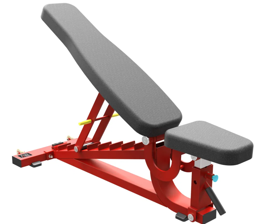 High Quality Sporting Goods Weight Bench Adjustable Exercise Bench