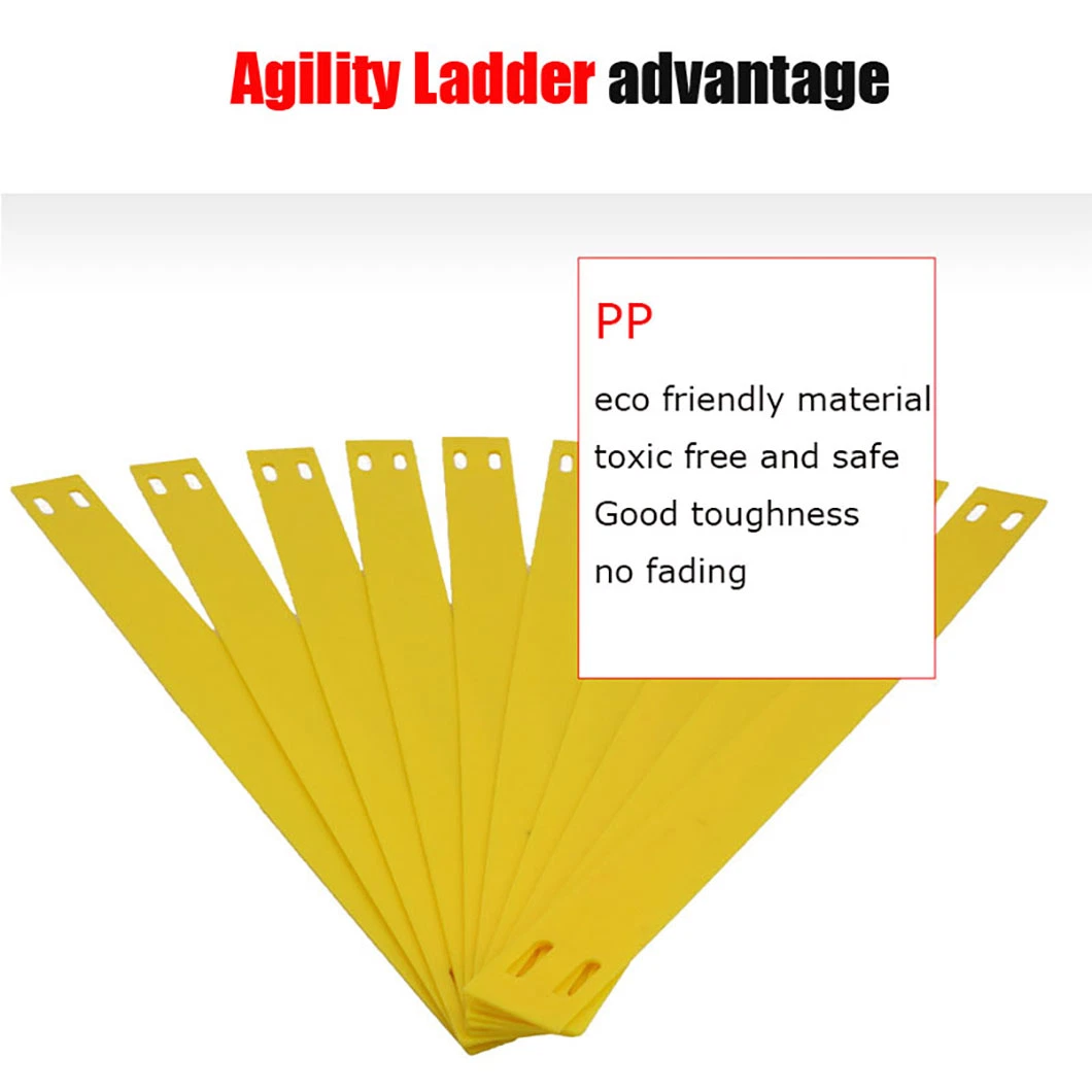 Economic Professional Agility Ladder Set Football Cones Speed Soccer Training Equipment with Bag