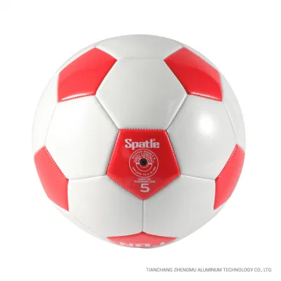 Pallone da calcio in PVC con logo Team personalizzato - misura 5 per Formazione