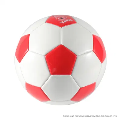 Pallone da calcio in PVC con logo Team personalizzato - misura 5 per Formazione