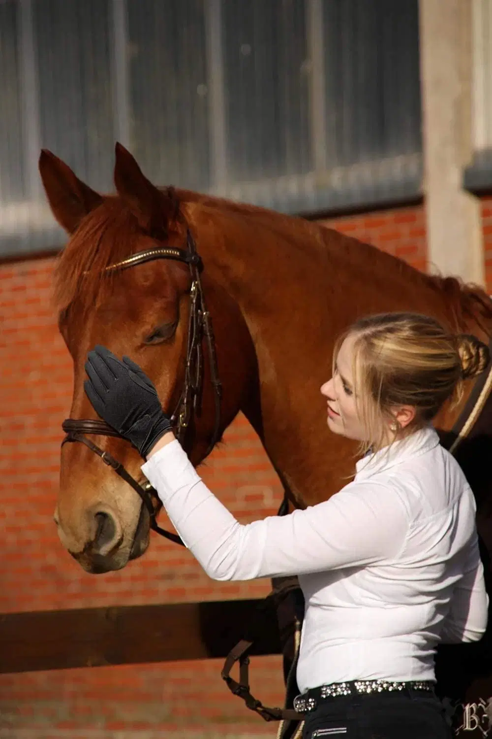 Girl&prime; S Equestrian Wear Black House Riding Gloves