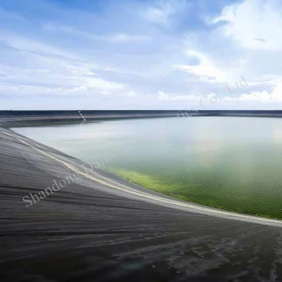 Aquaculture Fish Farm Biofloc HDPE Plastic Film Roll Dam Lining Geomembrane