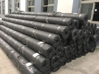 New Materials Geogrid Composite Geotextile for Road Construction