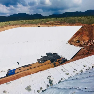 Best Seller PP/Pet Geotextile Accept OEM Customized