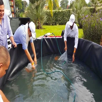 Harga Geomembrane HDPE Pond Liner for Shrimp Pond Project in Malaysia