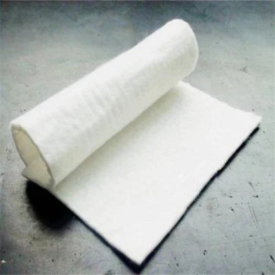 Manufacturer Non Woven PP Pet Polypropylene Geotextile Filter Fabric for Road Covering