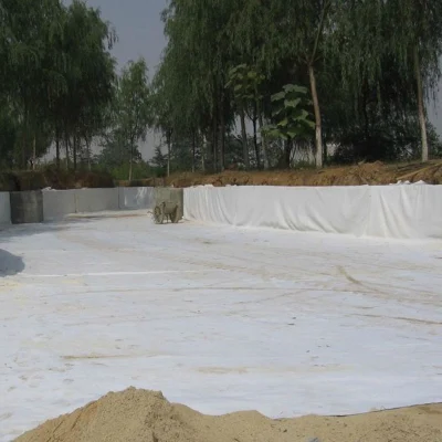 Manufacturer Non Woven PP Pet Polypropylene Geotextile Filter Fabric for Road Covering