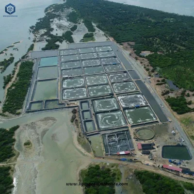 Harga Geomembrane HDPE Pond Liner for Shrimp Pond Project in Malaysia