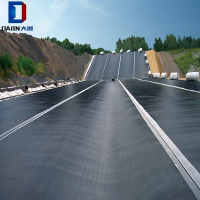 ASTM HDPE Geomembrane Plastic Cover Liner