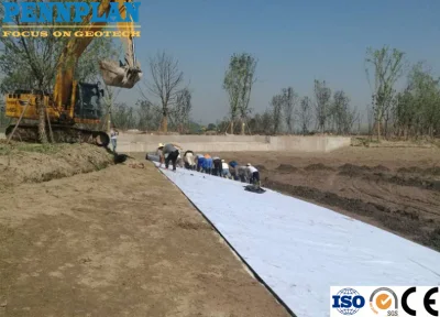 Gcl Impermeable Bentonite 4500GSM 4800GSM Geosynthetics Clay Liner for Landfill Project